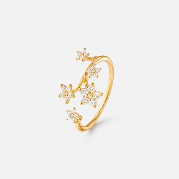 Bague Shooting Stars - 6 étoiles